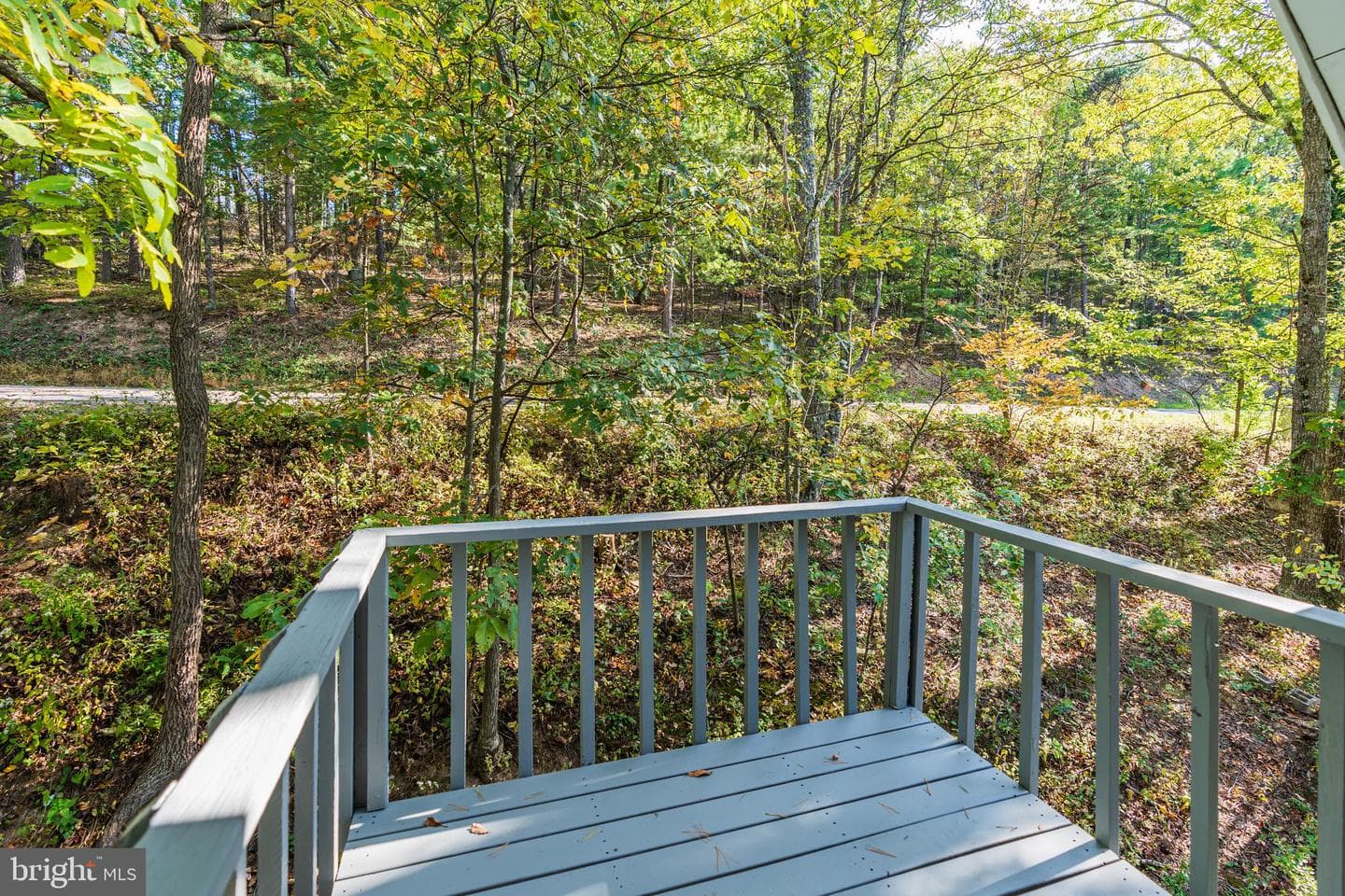 197 S Aspen Way photo 42