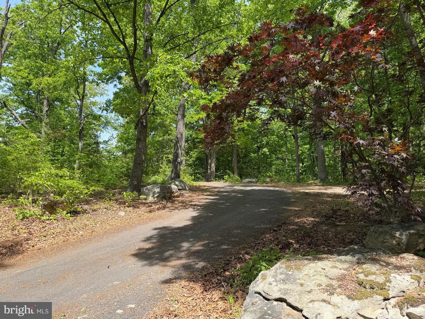 549 Mountain Laurel Drive photo 35