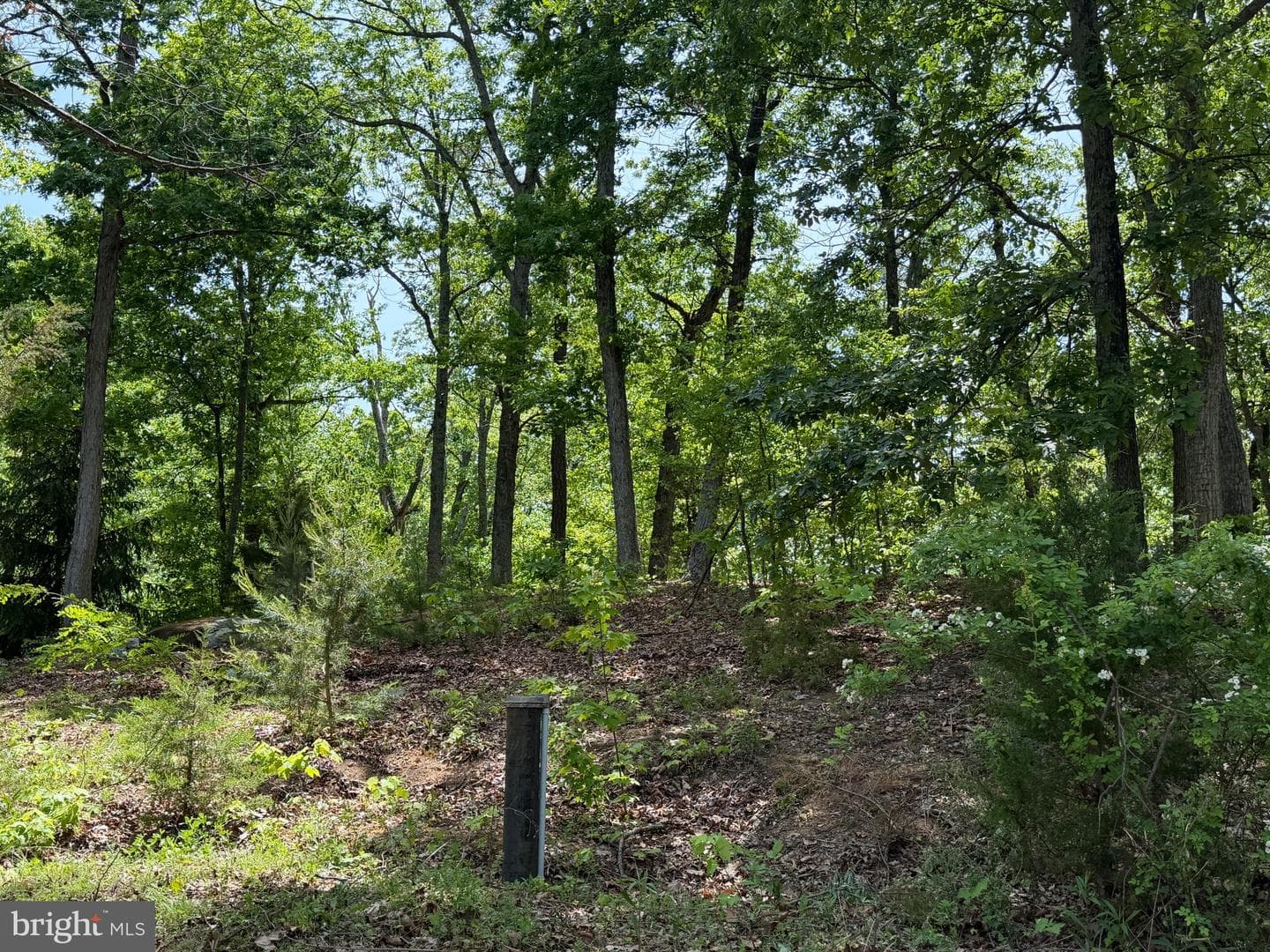 549 Mountain Laurel Drive photo 36