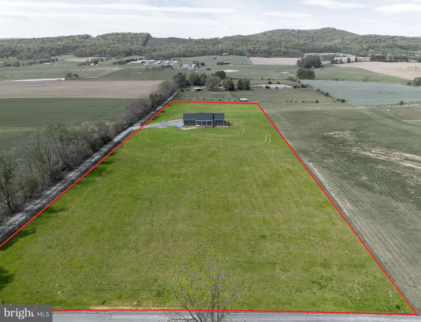 1611 Pleasant View photo 56