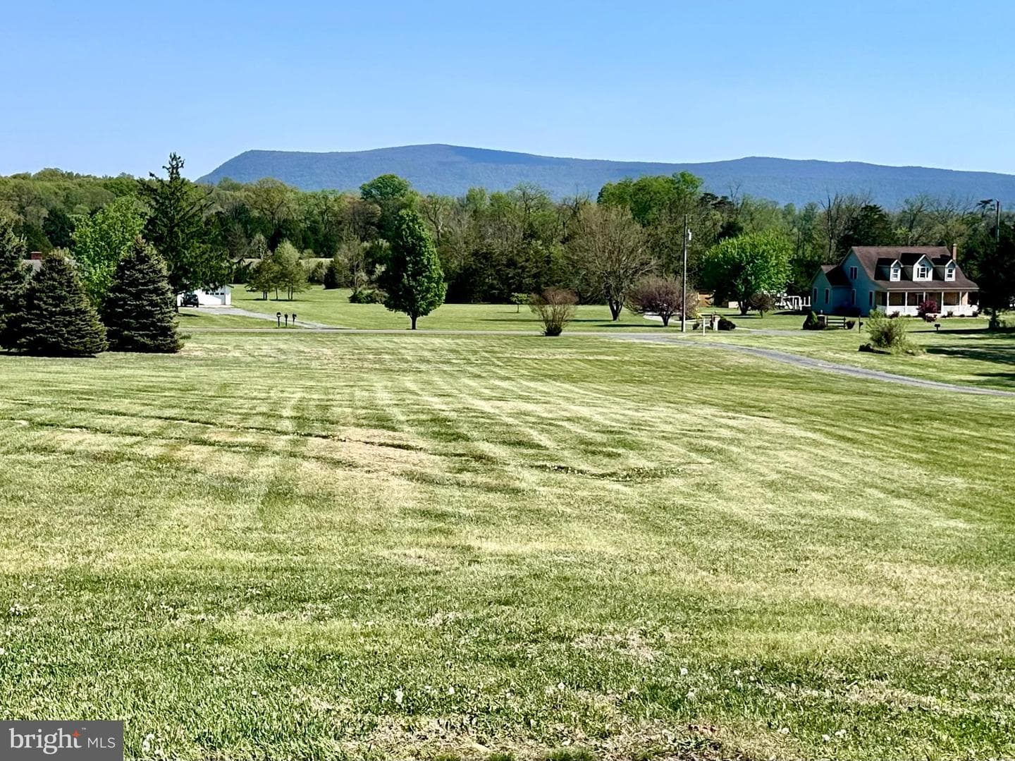 16335 Back Road photo 5