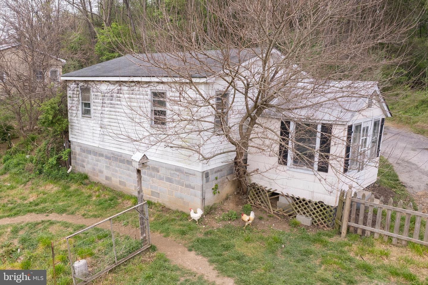 397 Country Brook Road photo 42
