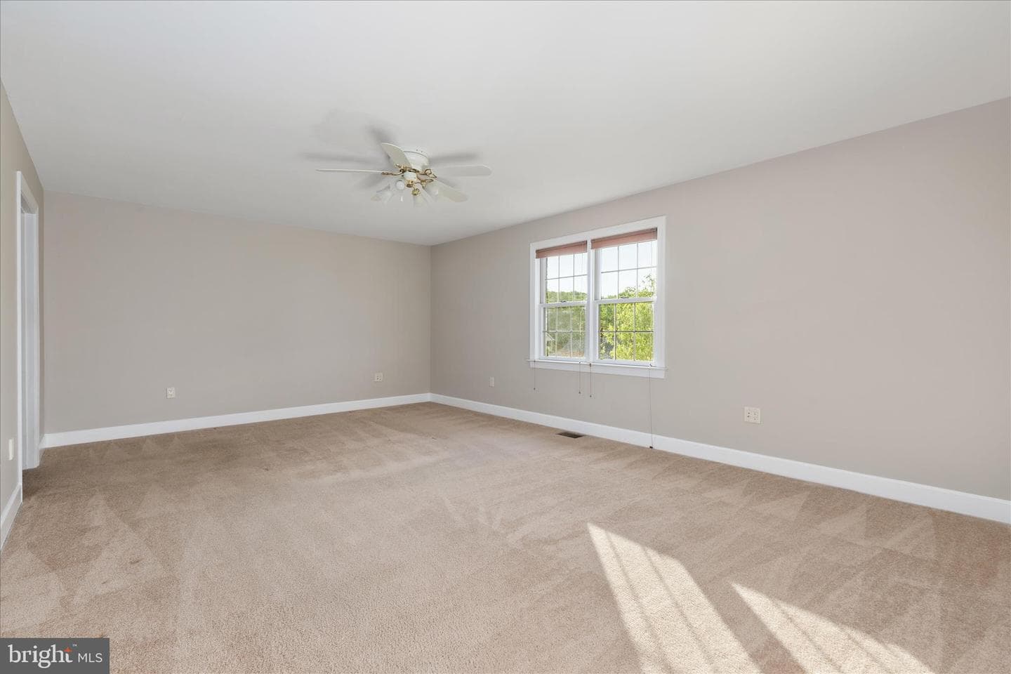 171 Daniel Court photo 19