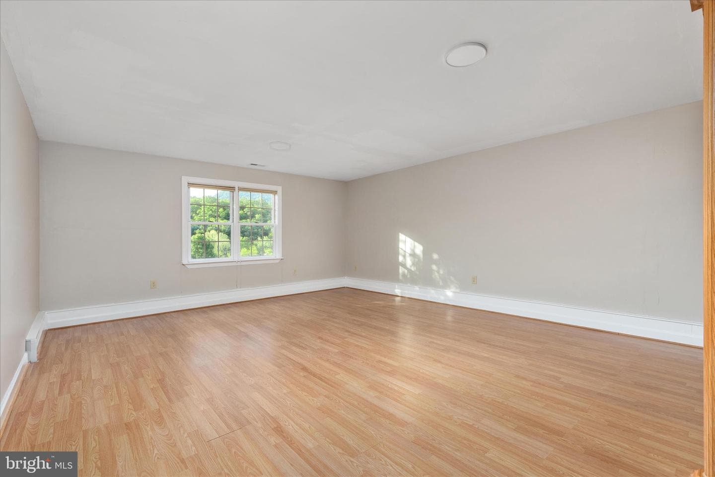 171 Daniel Court photo 29