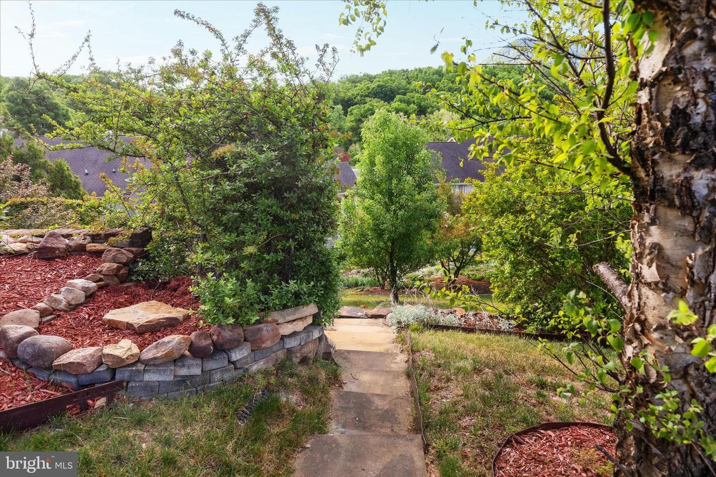 171 Daniel Court photo 42