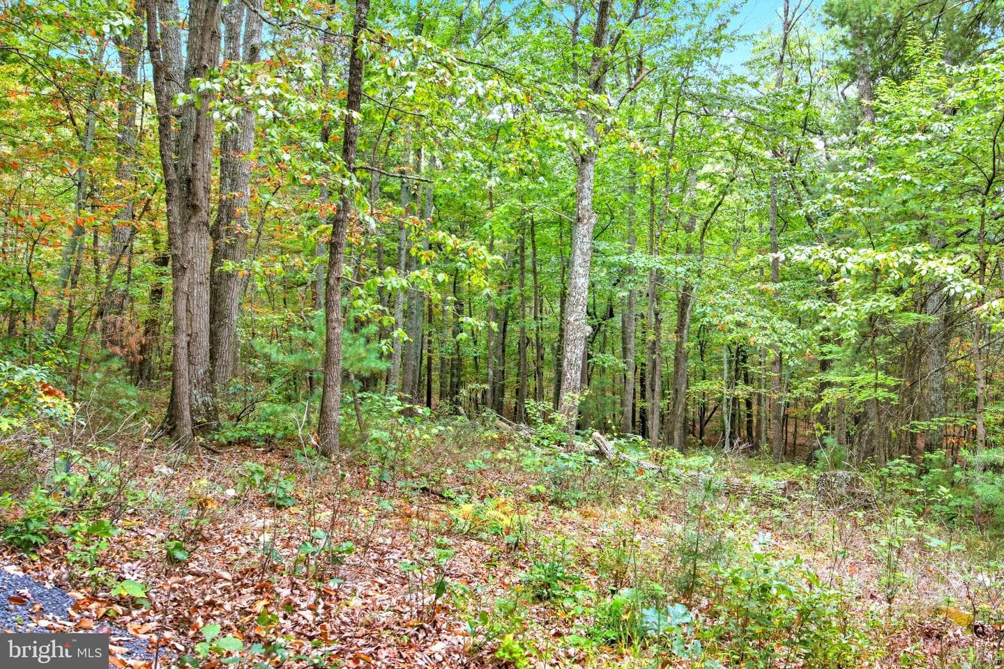 974 Sundance Retreat Lane photo 5
