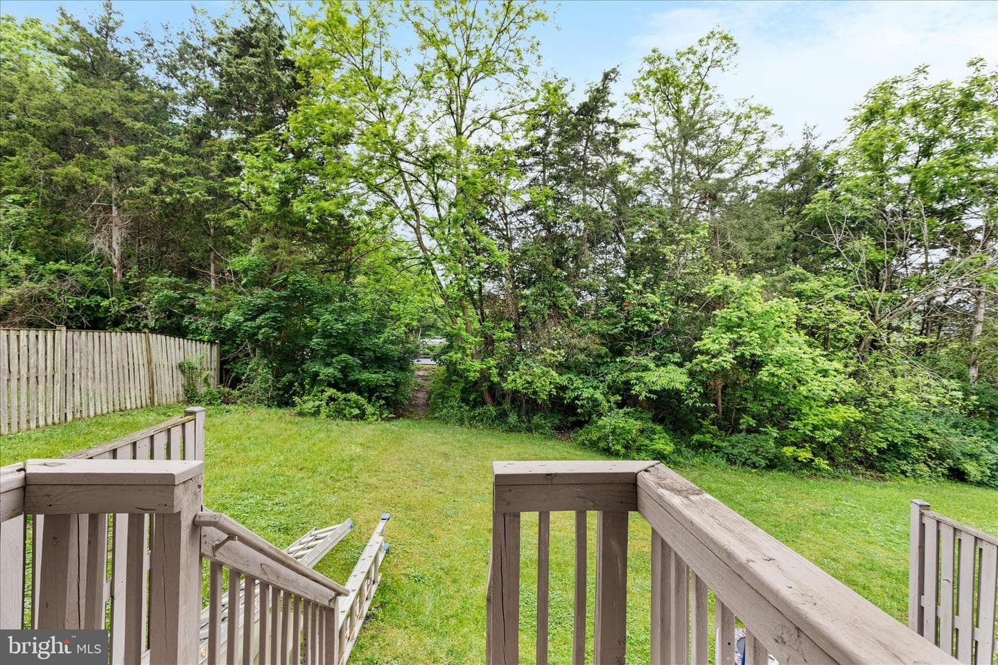 206 Hupps Hill Court photo 13