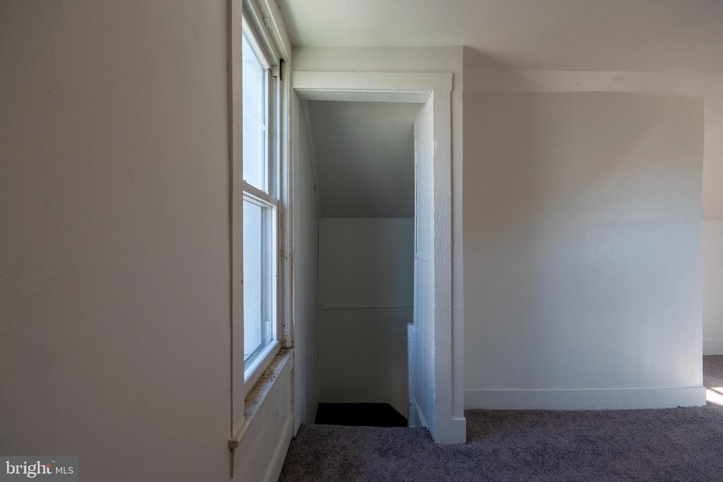 488 Ash Street photo 15