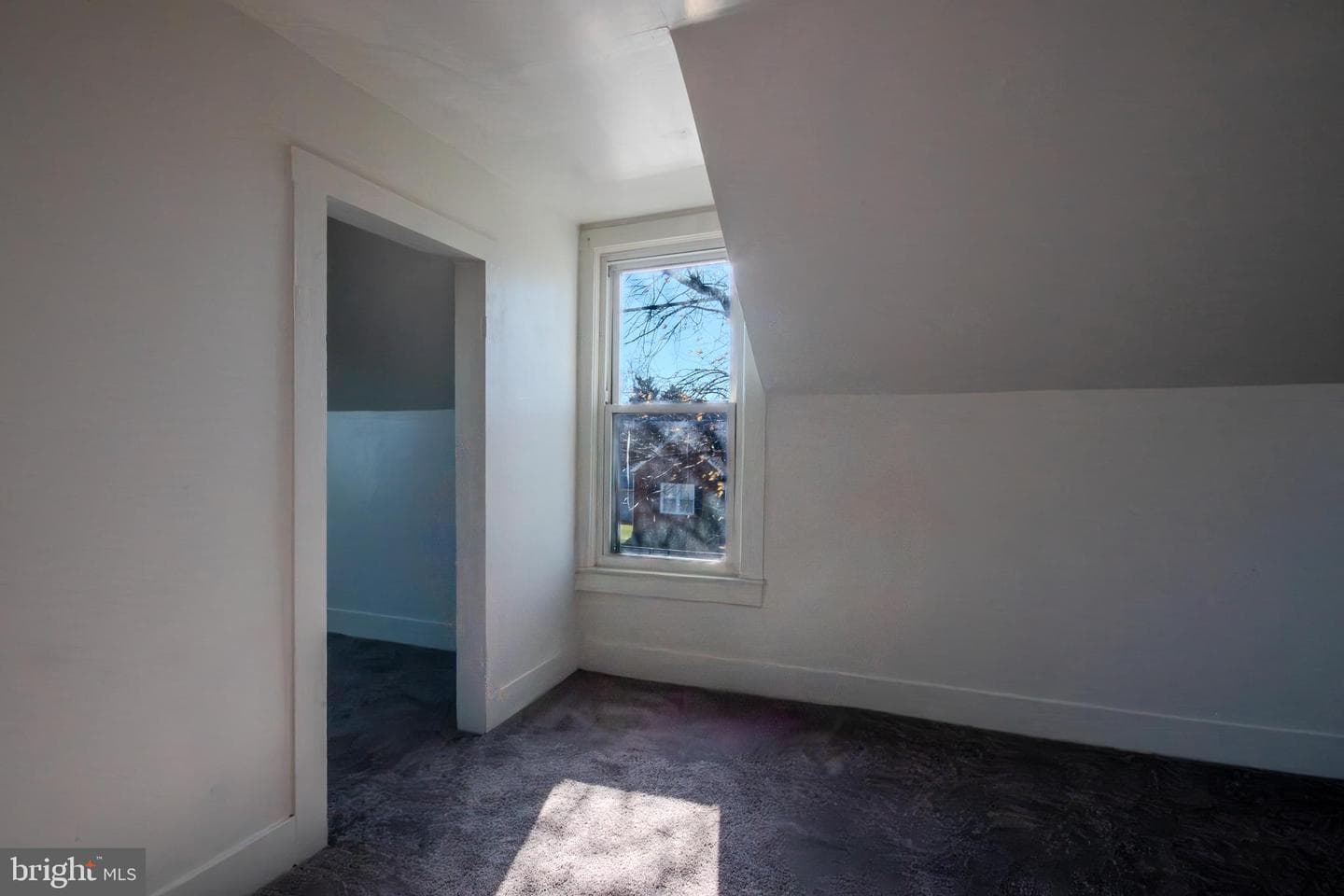488 Ash Street photo 21