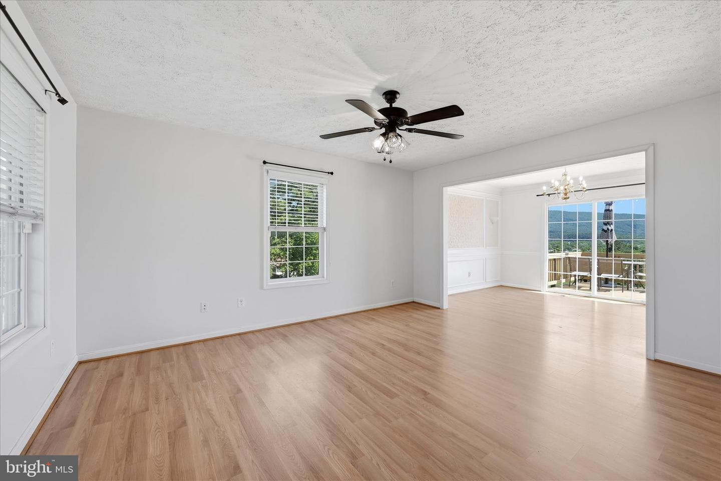 556 Thompson Street photo 14
