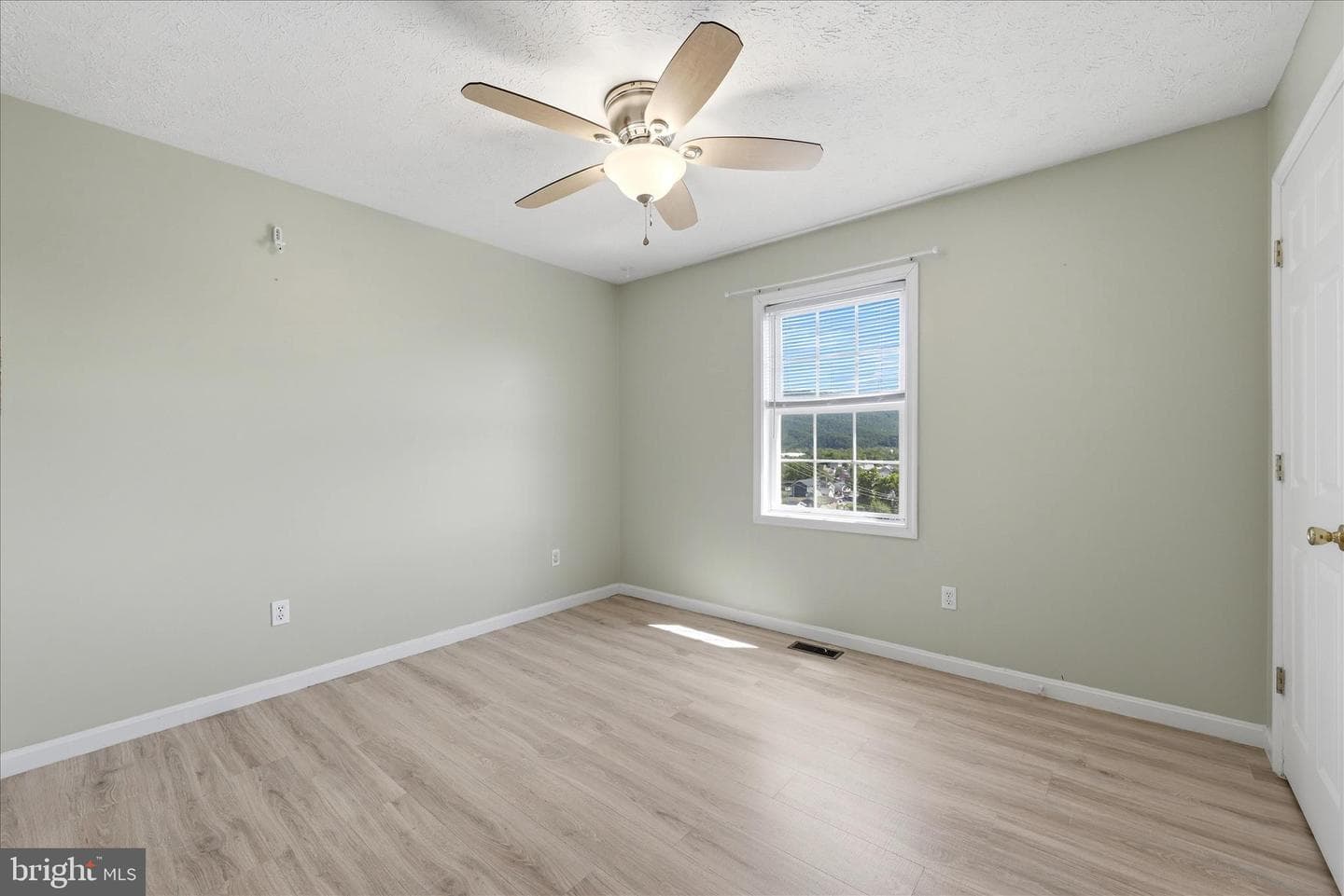 556 Thompson Street photo 34