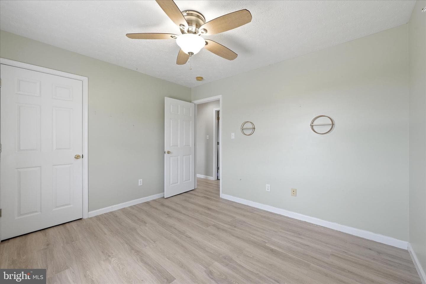 556 Thompson Street photo 35