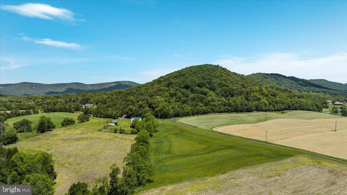 368 Ridge Hollow Road photo 108