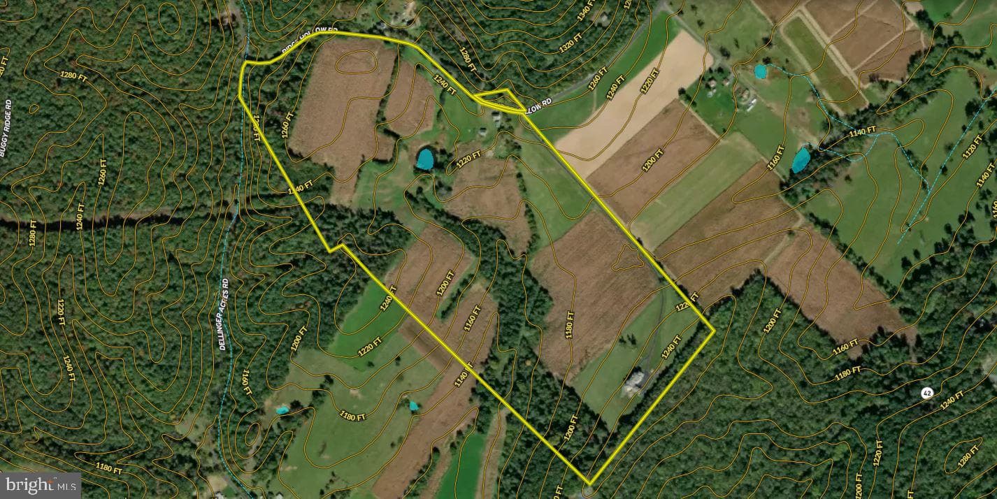 368 Ridge Hollow Road photo 142