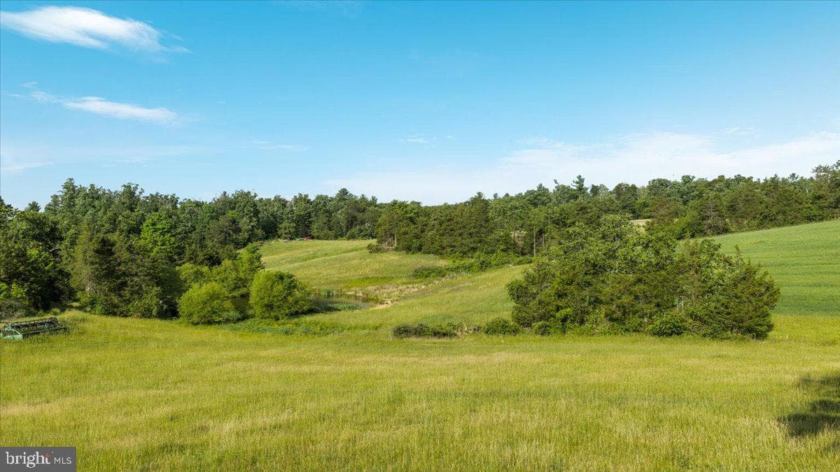 368 Ridge Hollow Road photo 92