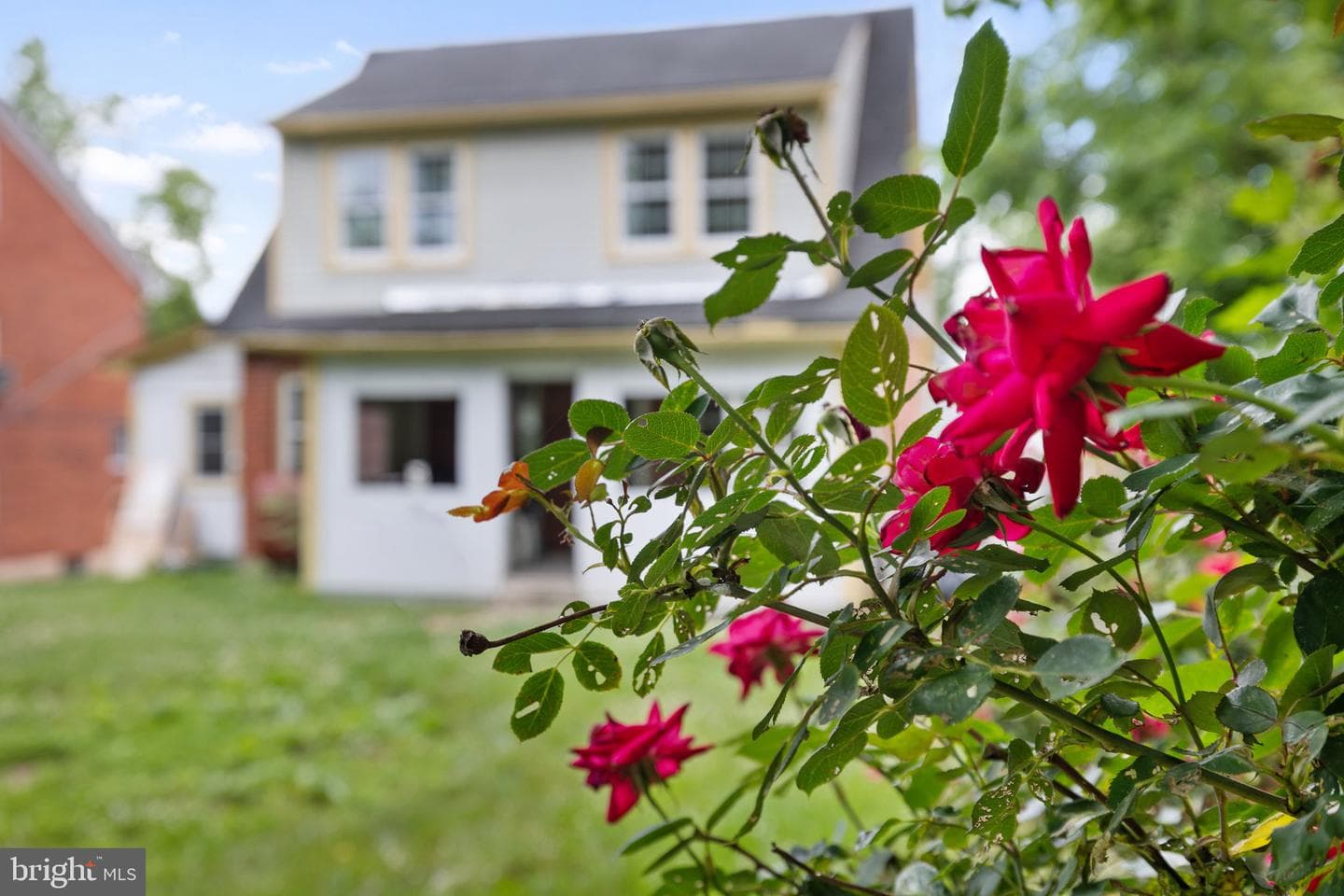 564 Orchard Street photo 38