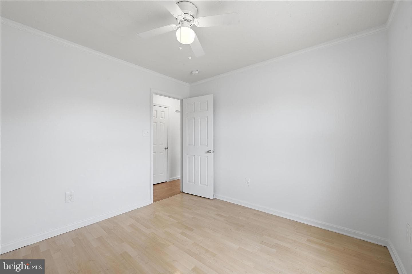 252 Wise Avenue photo 19