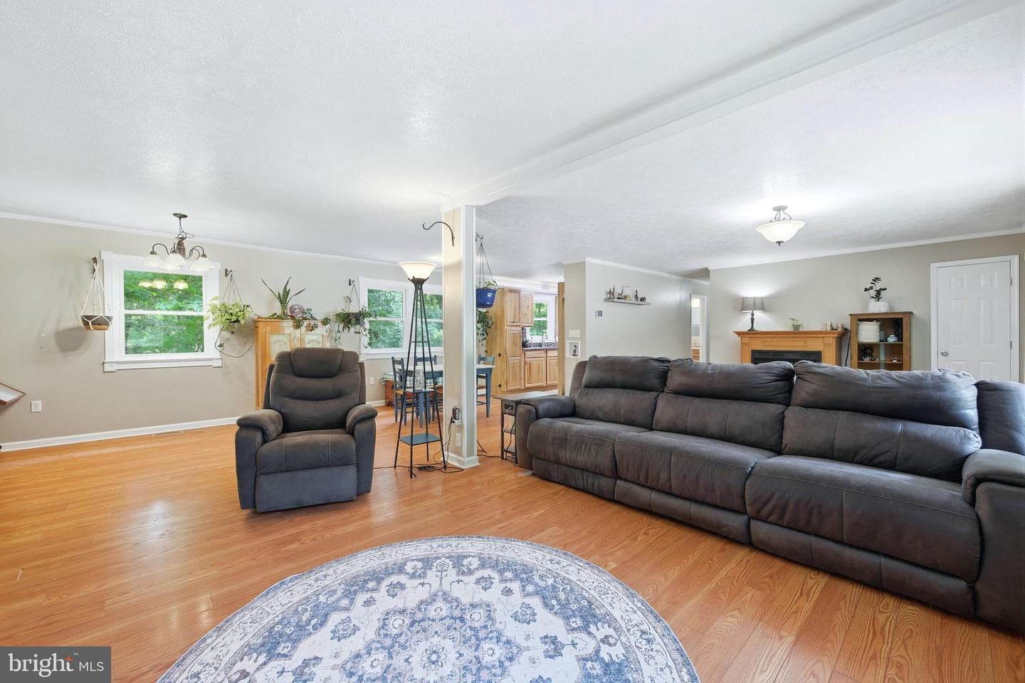 356 White Oak Lane photo 17