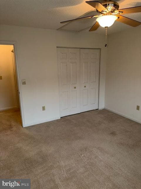 212 Pelham Drive photo 14