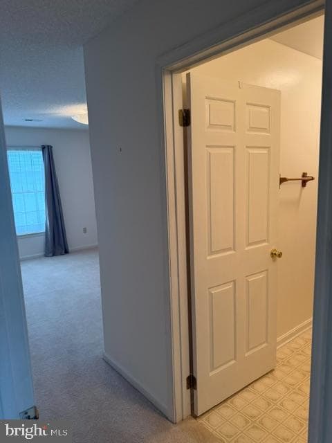 212 Pelham Drive photo 19