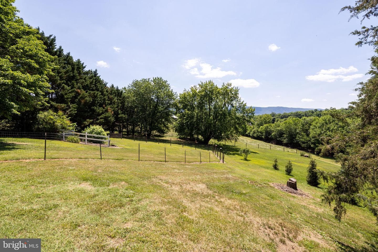 9510 Shenandoah Drive photo 90