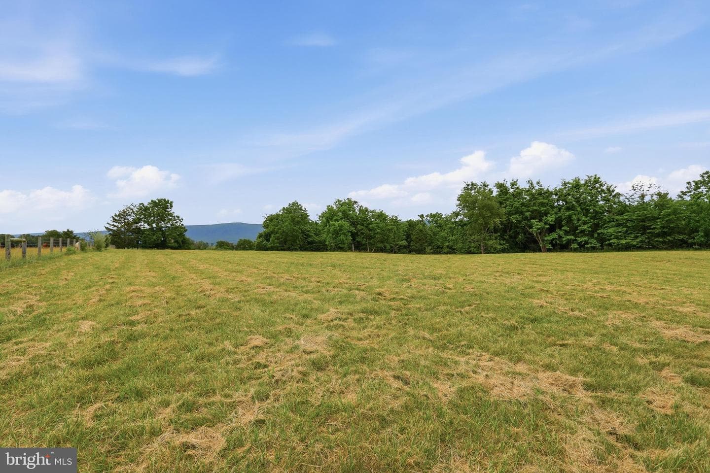 2447 Headquarters Road photo 101