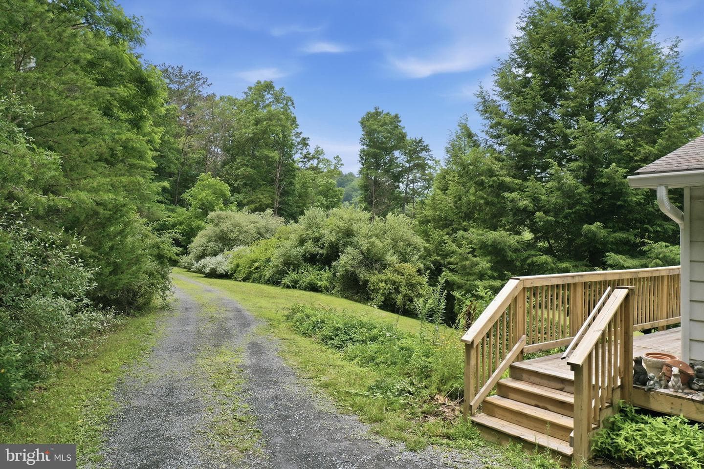 3704 Cedar Creek Road photo 32