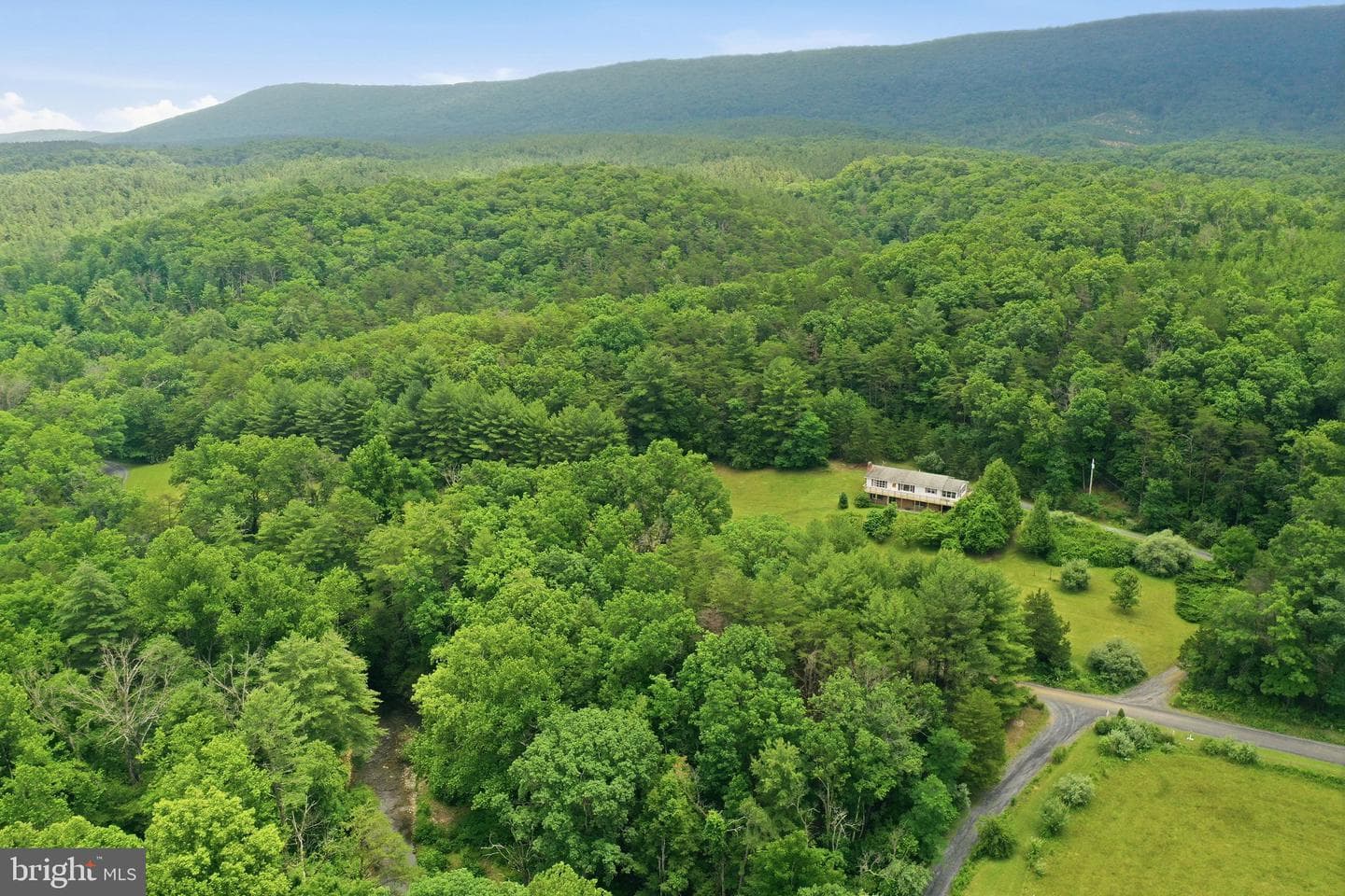 3704 Cedar Creek Road photo 34