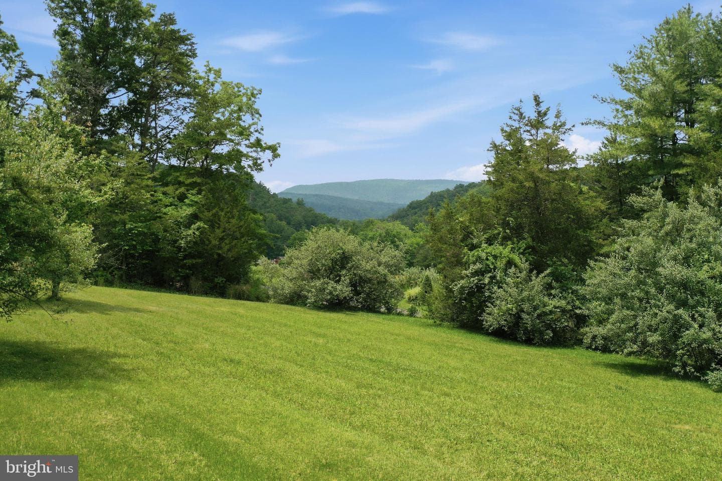 3704 Cedar Creek Road photo 41