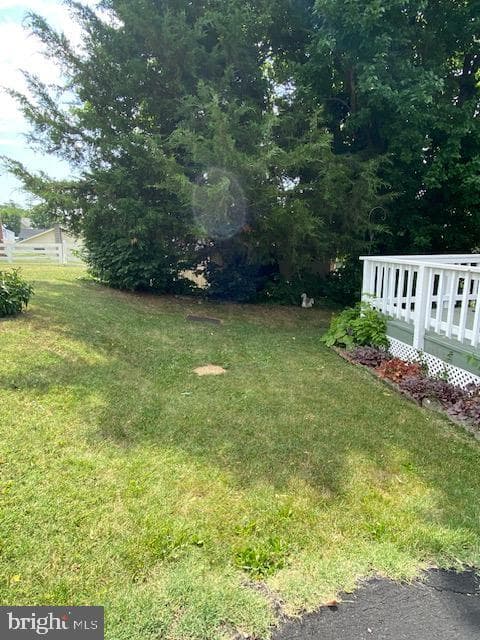 328 Lee Street photo 5