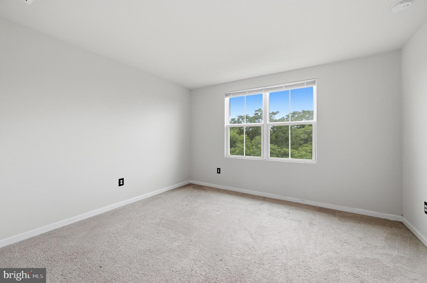 309 Williams Street photo 16
