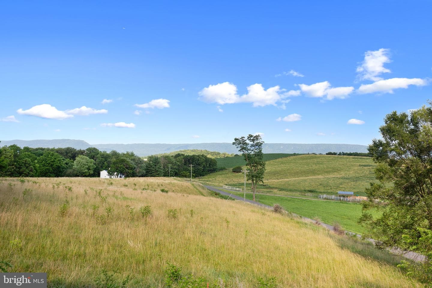 1919 Ridge Road photo 23