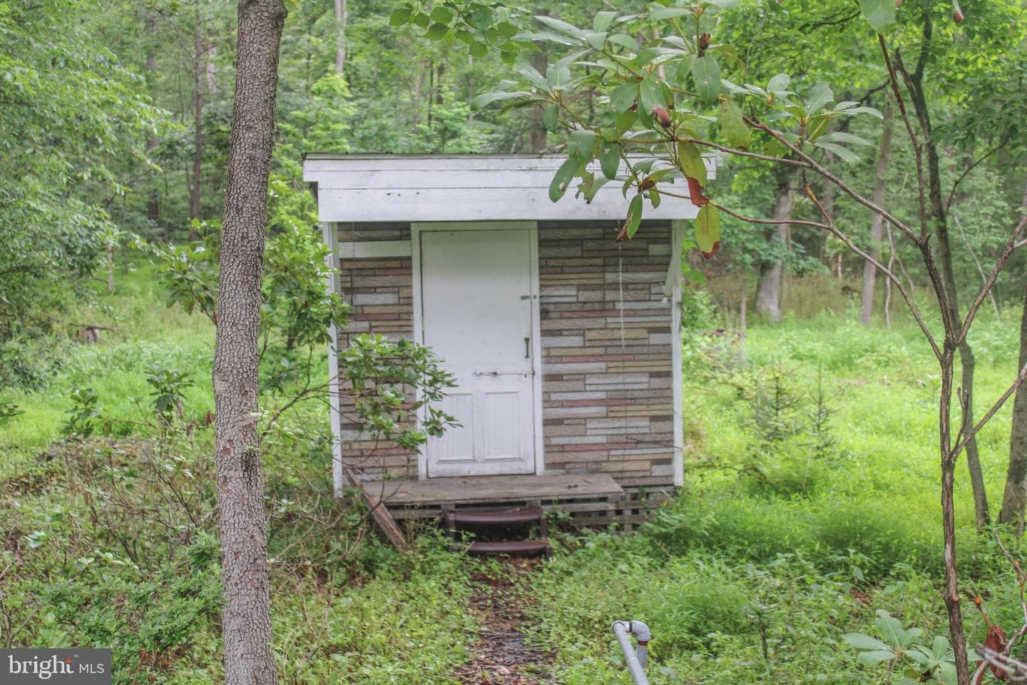 4547 Alum Springs Road photo 44