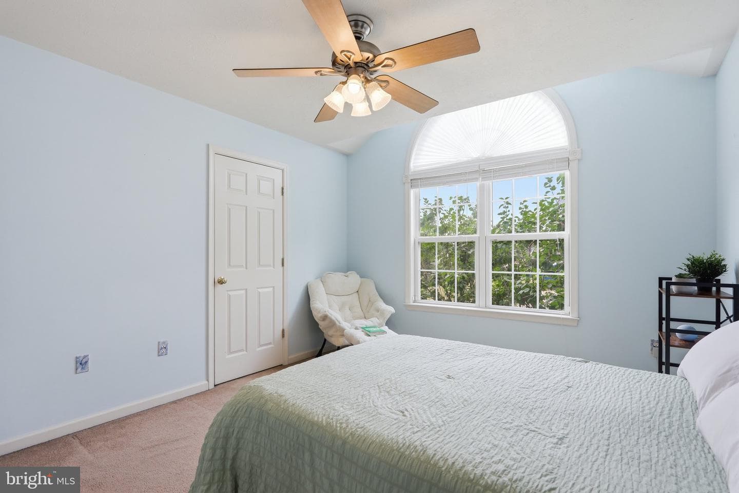 20 Philips Court photo 24