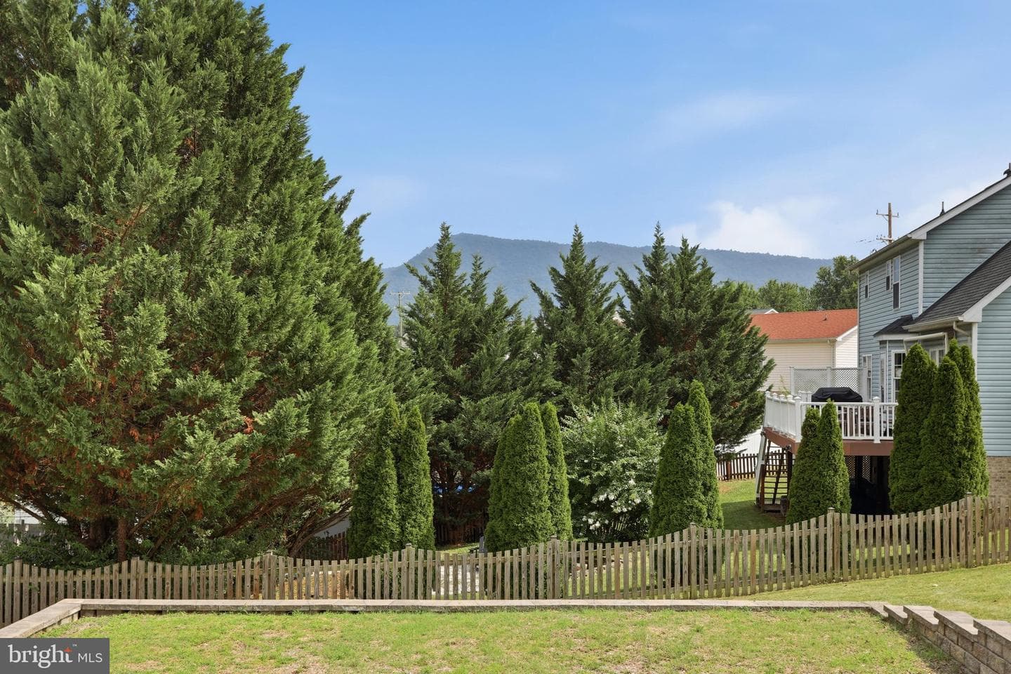 20 Philips Court photo 47