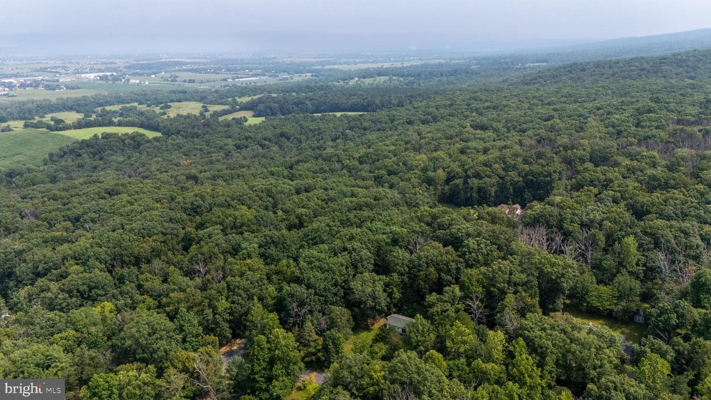 1077 Fleming Park Road photo 42