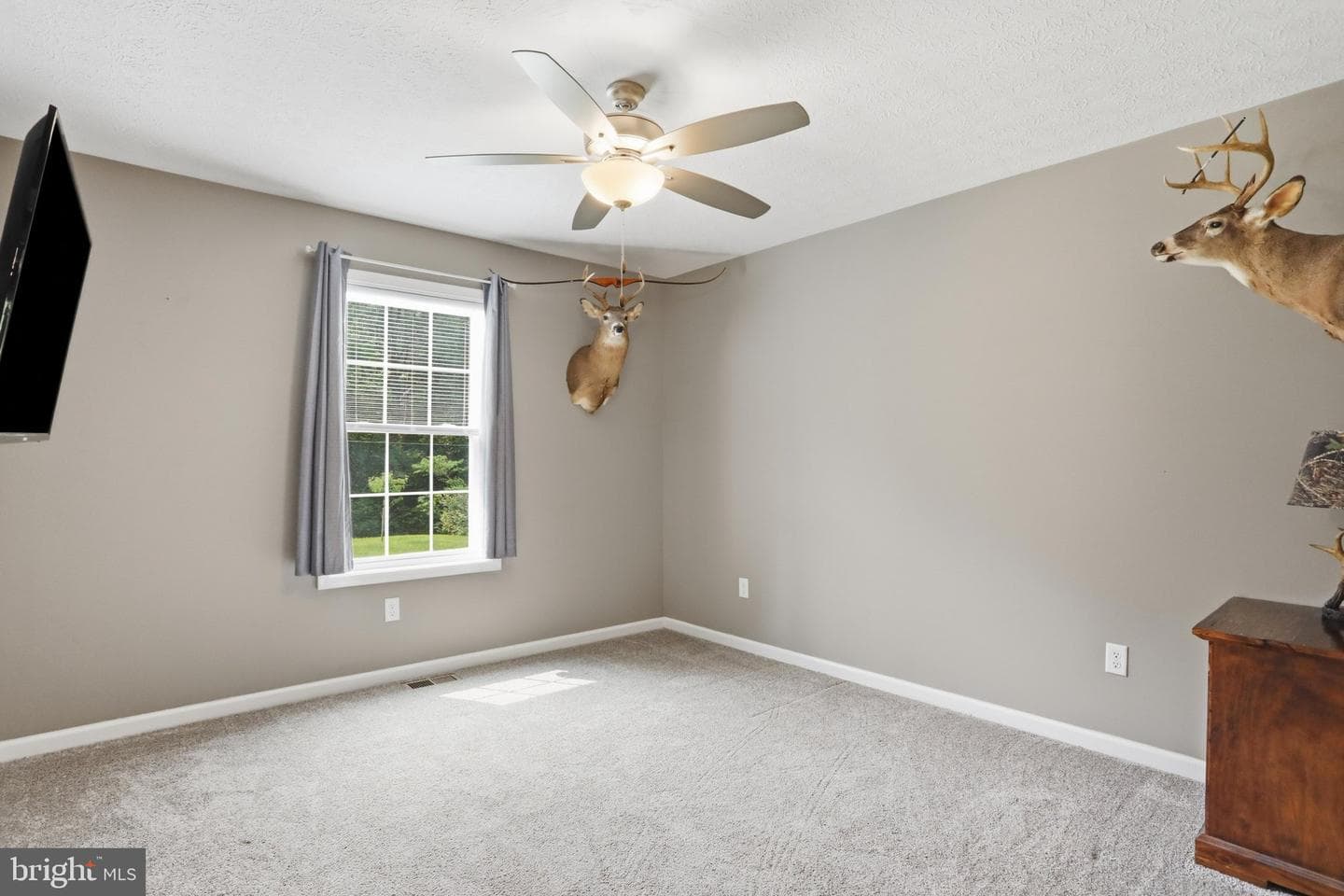 4111 Moreland Gap Road photo 28