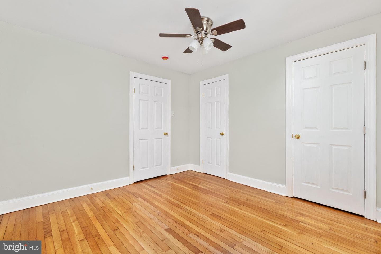 528 E Queen Street photo 20