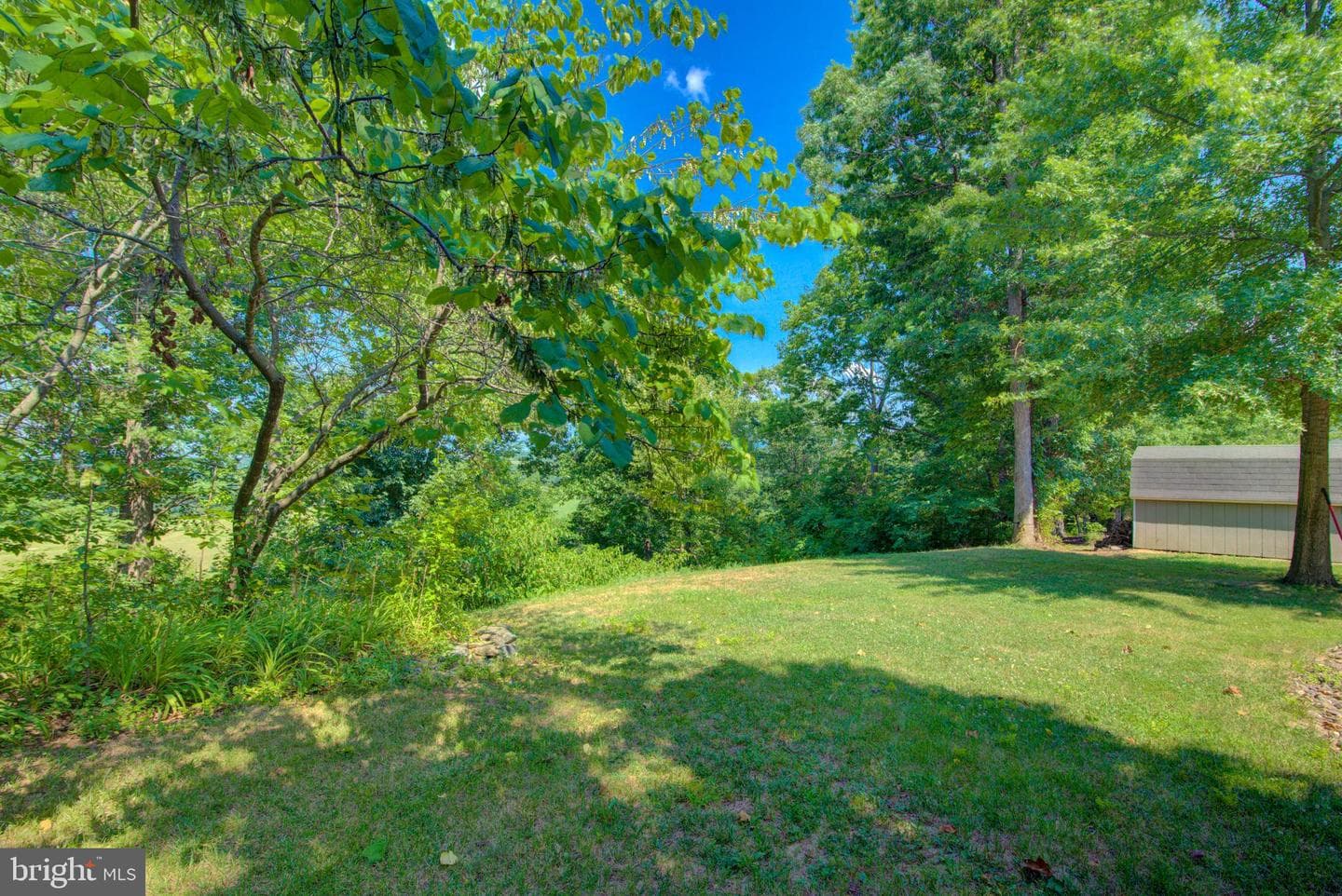 47 Stuart Court photo 6