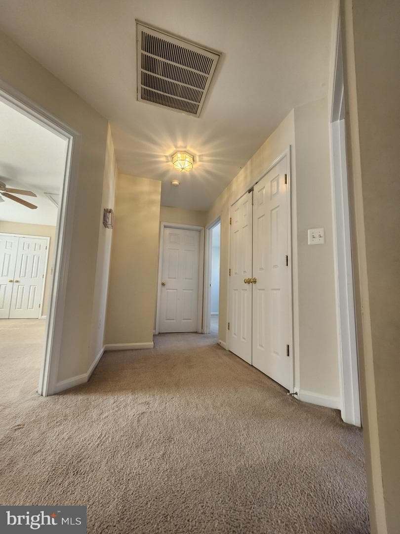 10013 Betsy Street photo 14