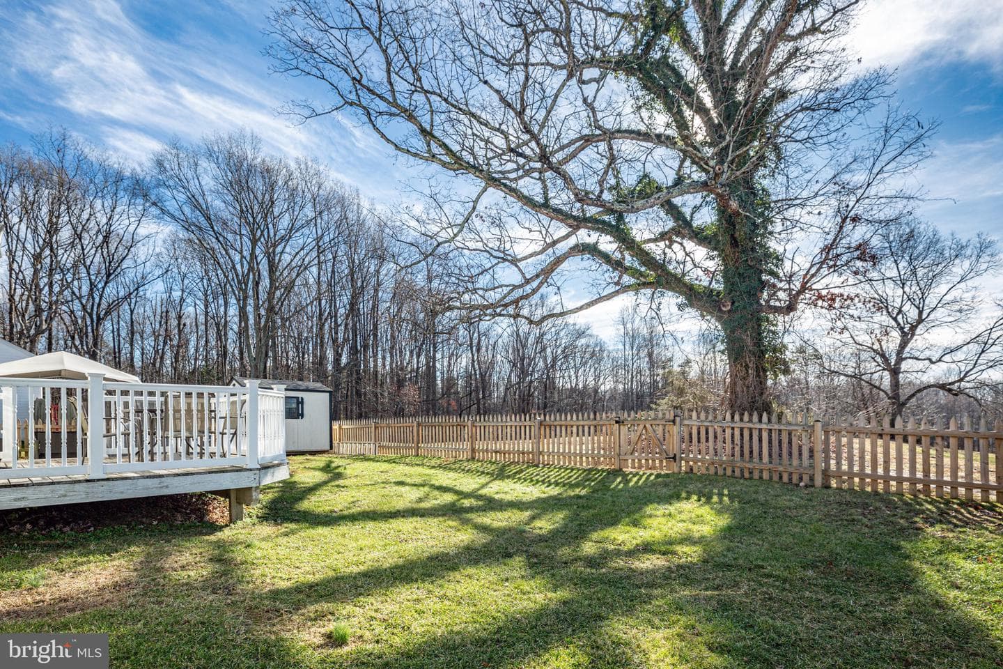 6002 Sunny Meadows Drive photo 32