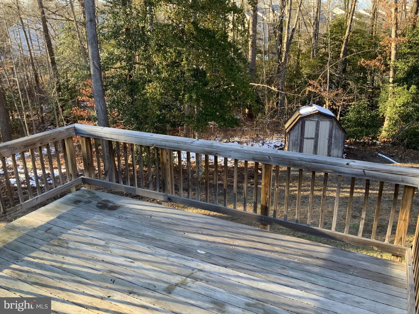 203 Breezewood Drive photo 35