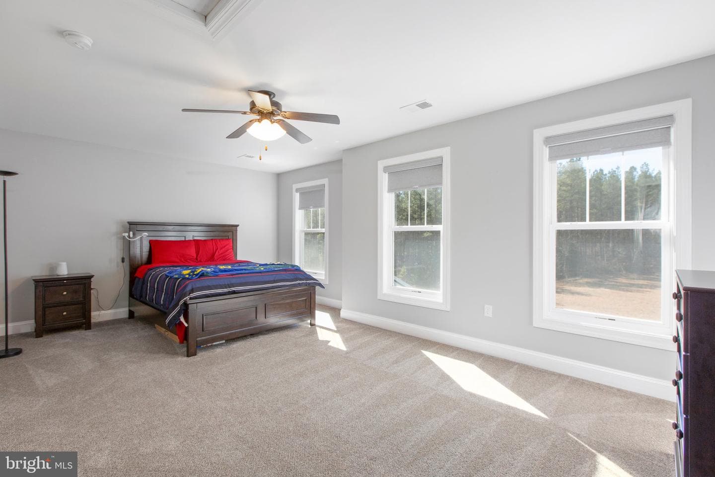 10011 Tarrington Way photo 37