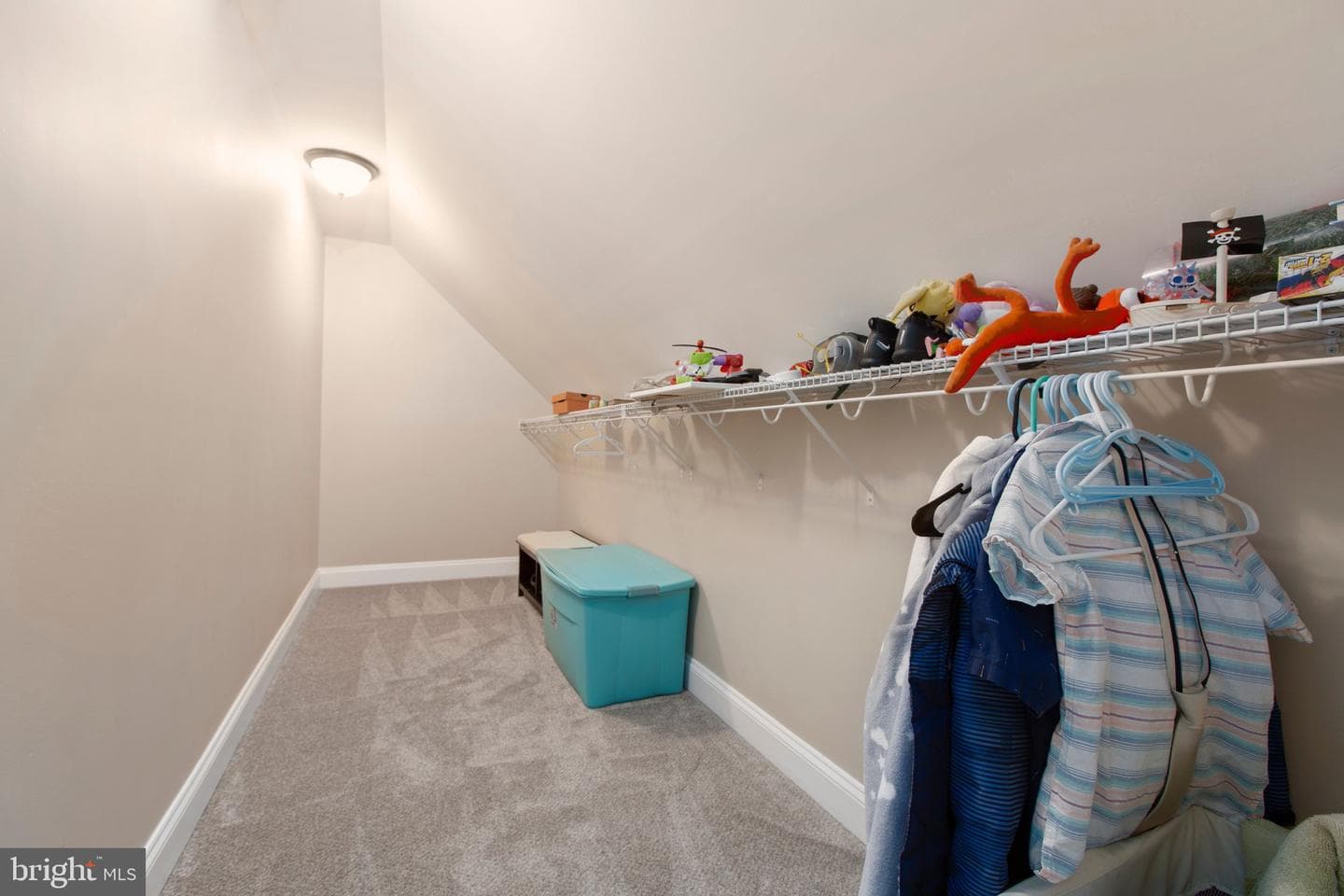 10011 Tarrington Way photo 43