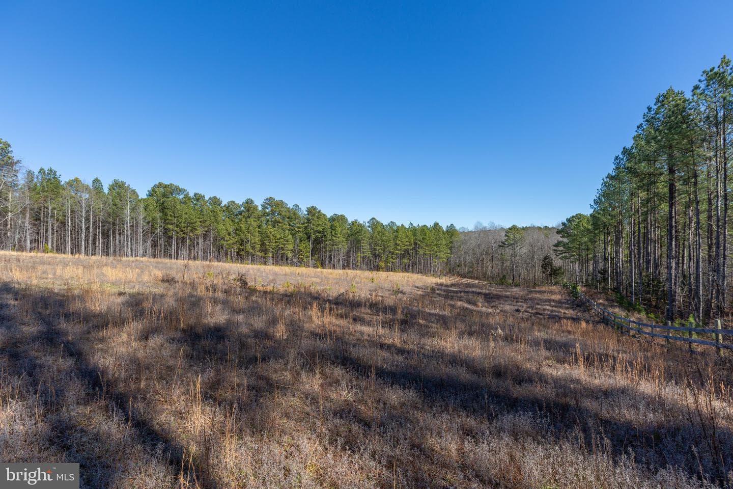 10011 Tarrington Way photo 59