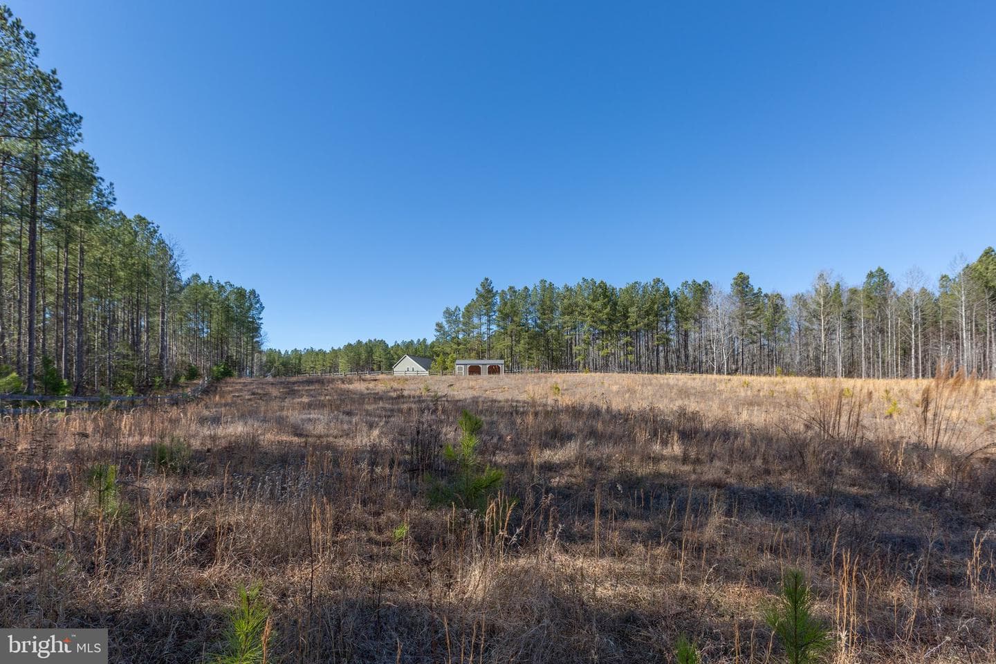 10011 Tarrington Way photo 60