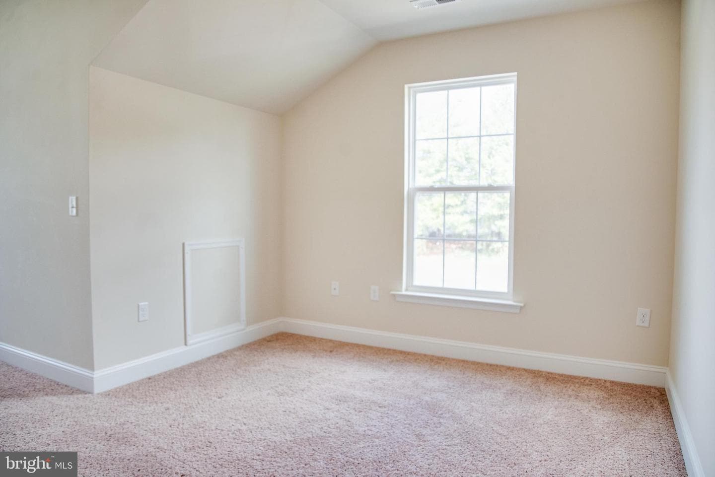 12715 River Crossing Way photo 28