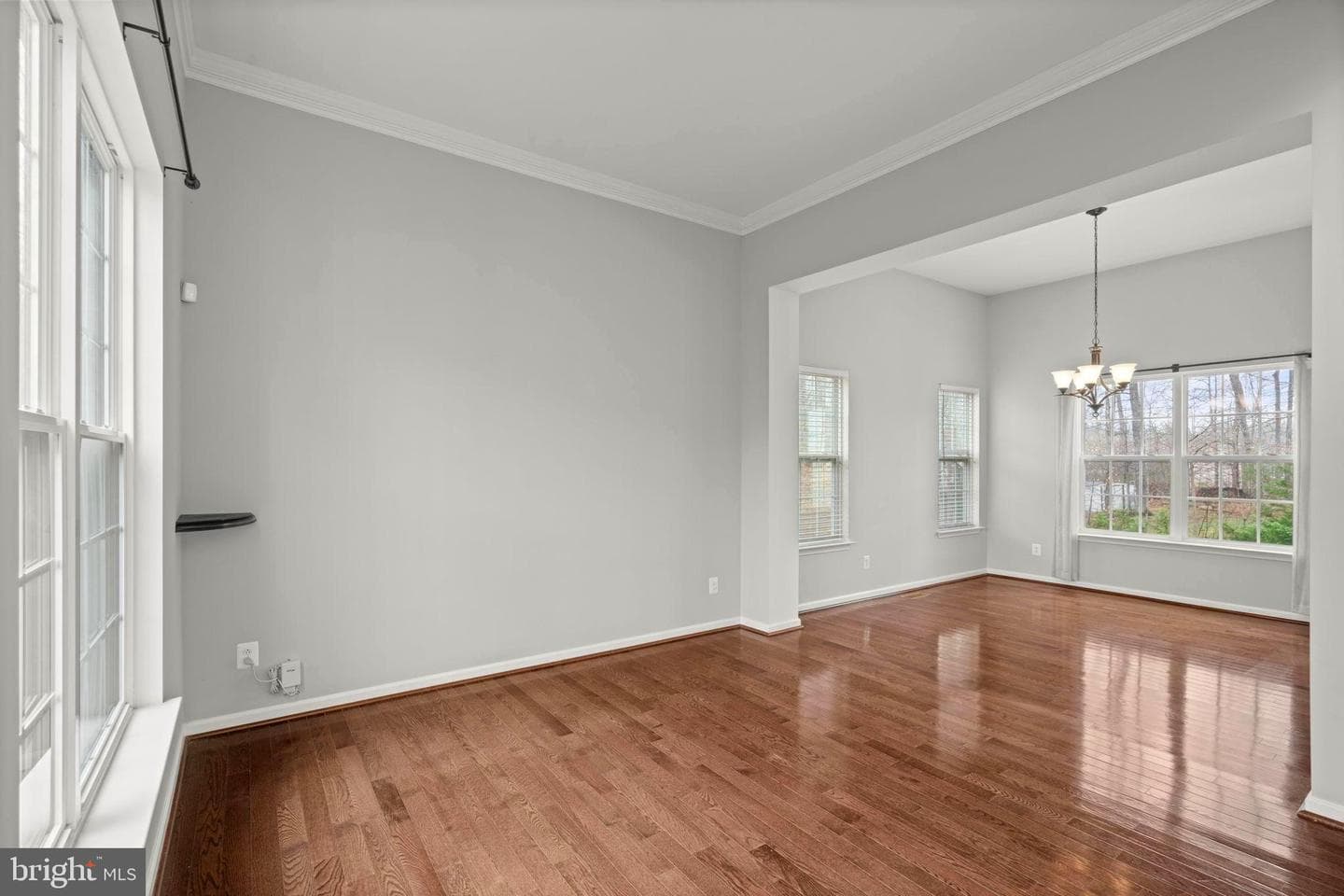 10012 Willow Ridge Way photo 10
