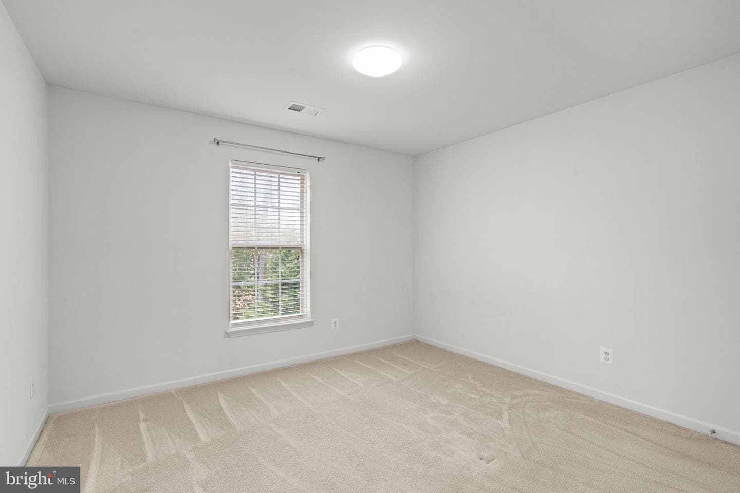 10012 Willow Ridge Way photo 42