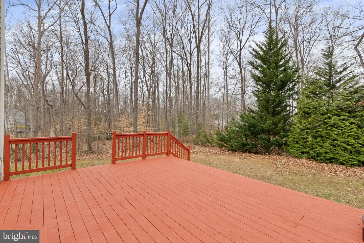 10012 Willow Ridge Way photo 53